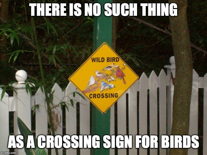 Wild Bird Crossing Sign Imgflip