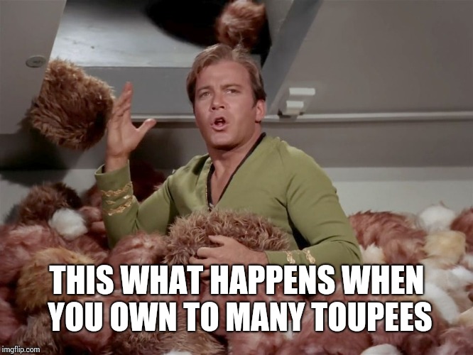 Image tagged in star trek kirk tribbles Imgflip