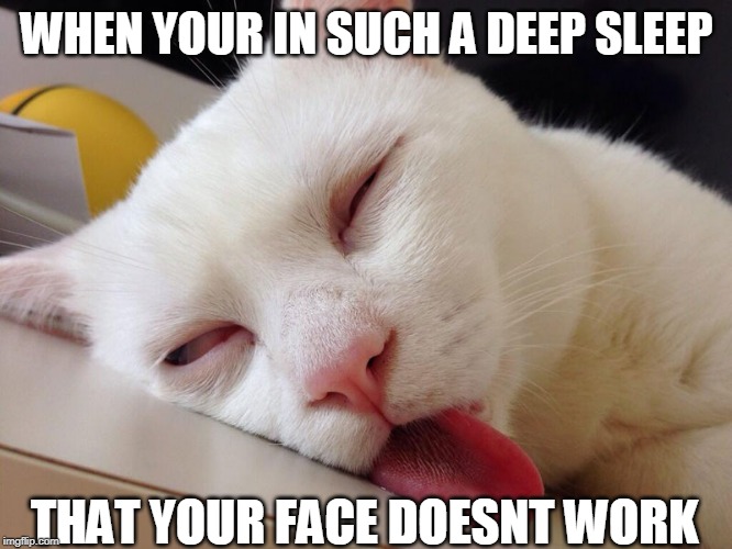 SLEEP FACE Imgflip