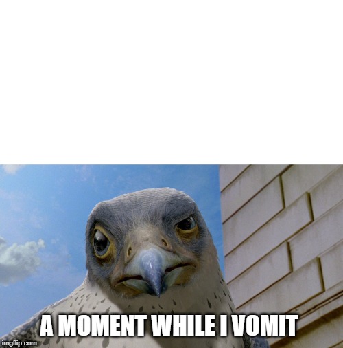 A moment while I VOMIT." Imgflip