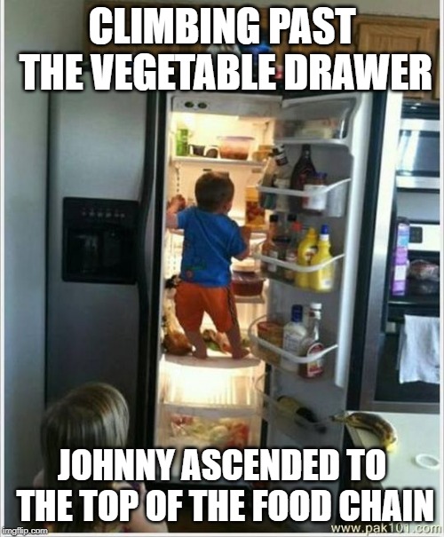 baby getting food from fridge Imgflip