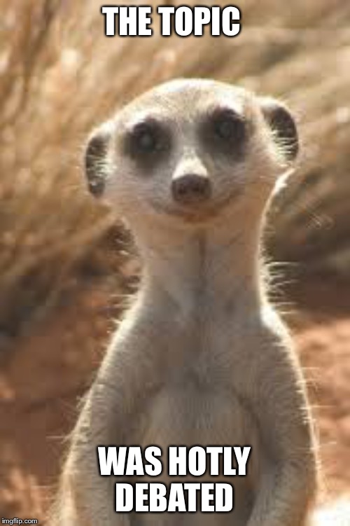 Heated Discussion Imgflip