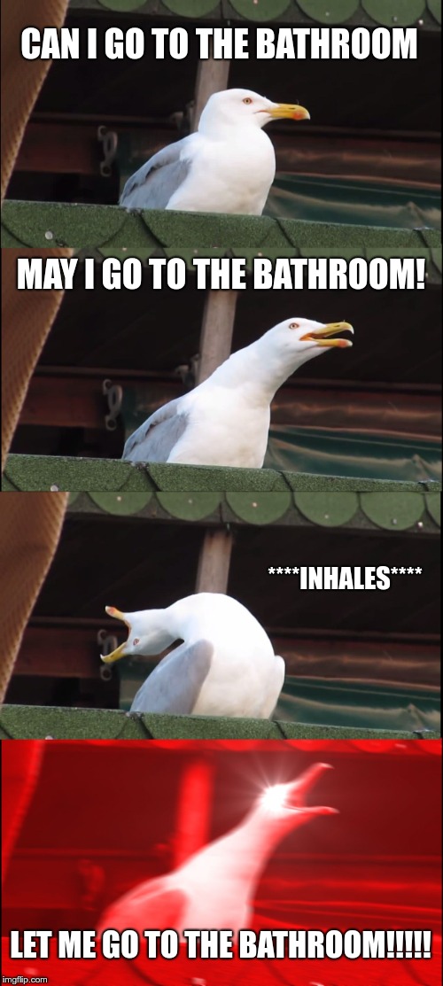 Inhaling Seagull Meme Imgflip