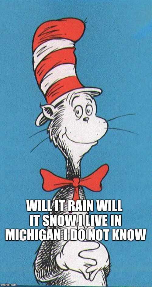 cat in the hat Imgflip