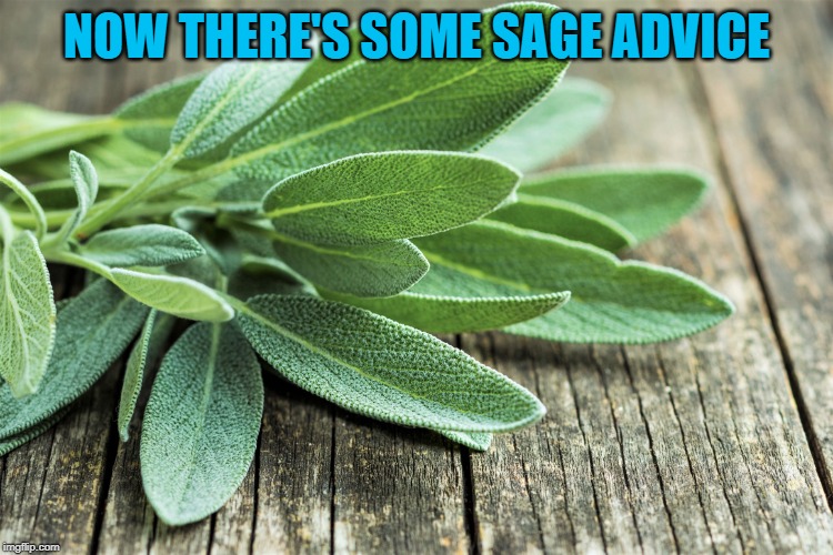 Unpopular Opinion Puffin Meme Imgflip