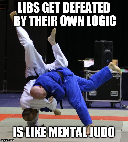 Judo Throw Imgflip
