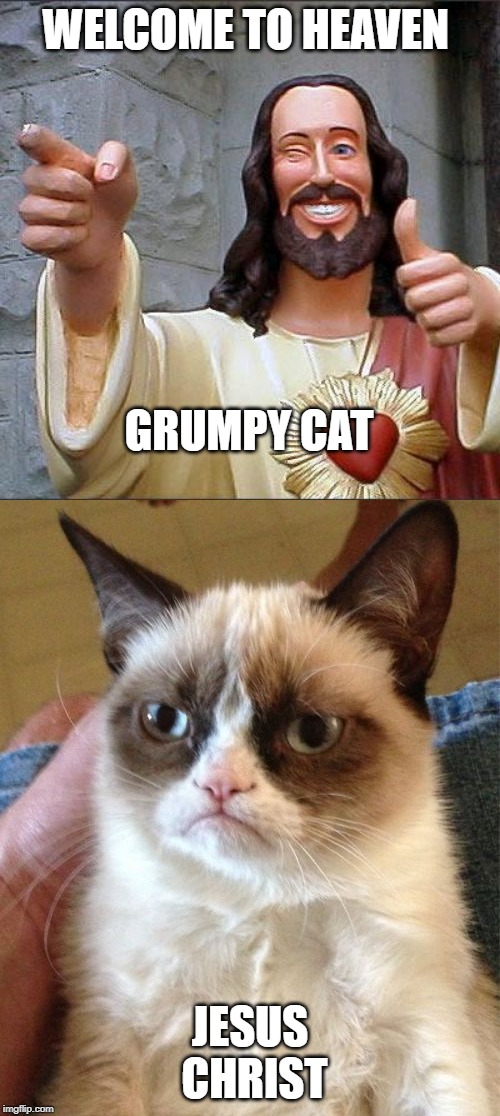 Image tagged in memes,buddy christ,grumpy cat Imgflip
