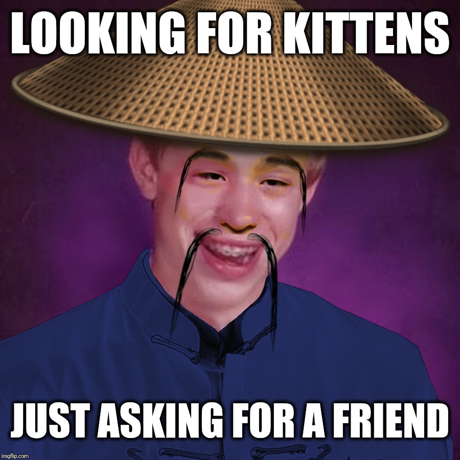Here Kitty Kitty Imgflip