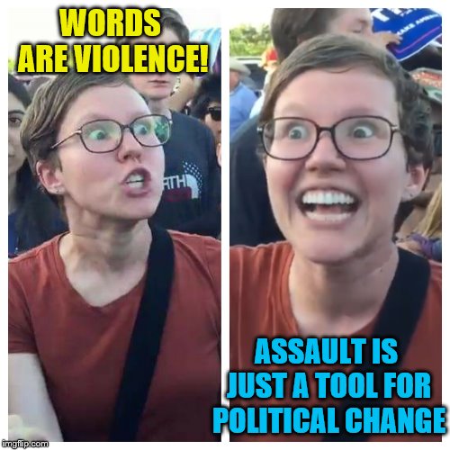 Social Justice Warrior Hypocrisy Imgflip