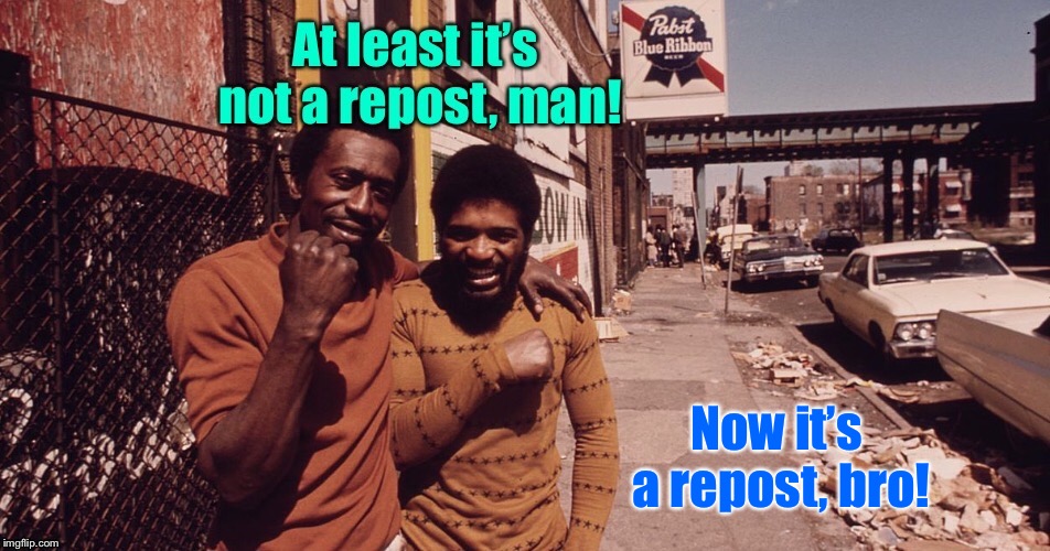 Image tagged in repost,original post,fence post,funny memes Imgflip