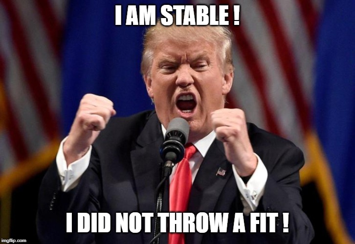 Image tagged in stable genius Imgflip