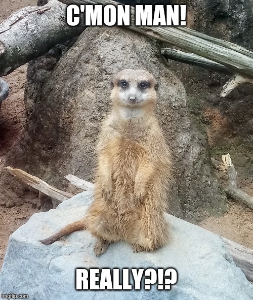 C'mon man really??? Imgflip