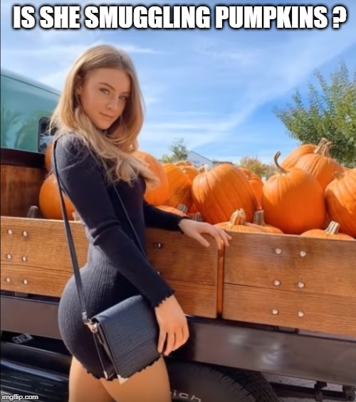 Imgflip