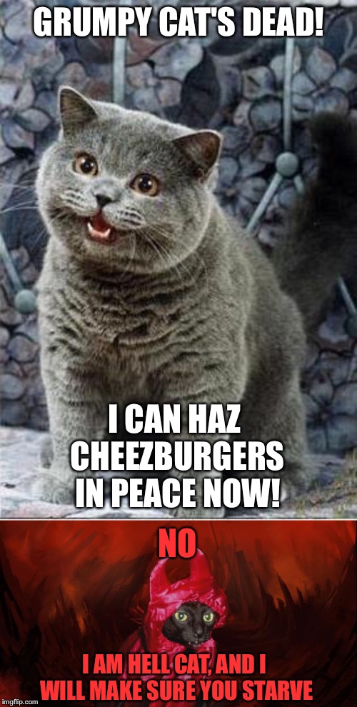 The Replacement of Grumpy Cat Imgflip