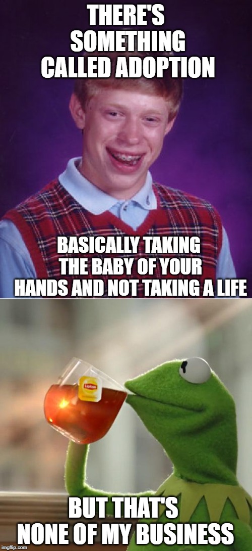 Prochoice arguments make about this much sense. Imgflip