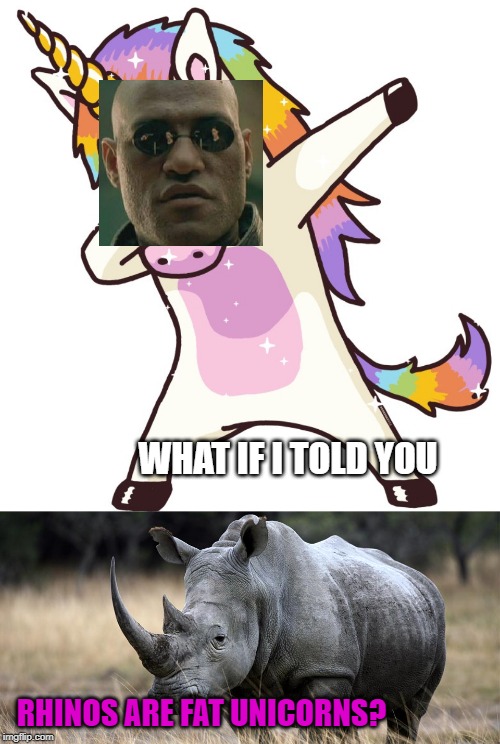 The Truth Behold Imgflip
