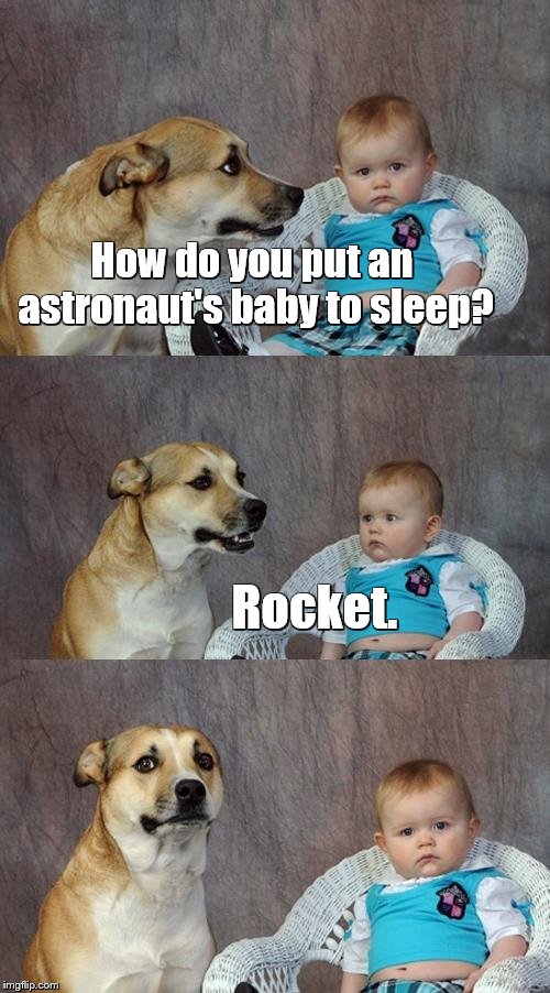 Dad Joke Dog Memes Imgflip