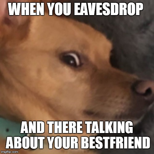 Toulouse is mood Imgflip