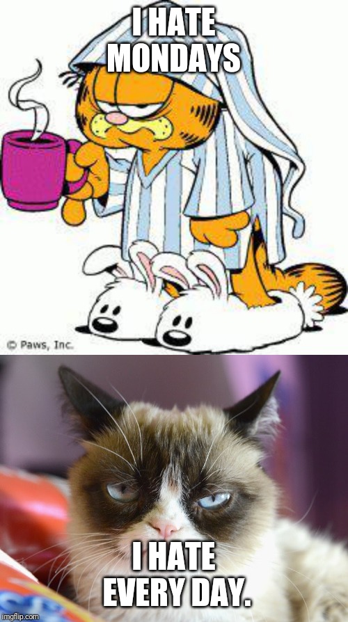 Garfield Meme I Hate Mondays fbrayen