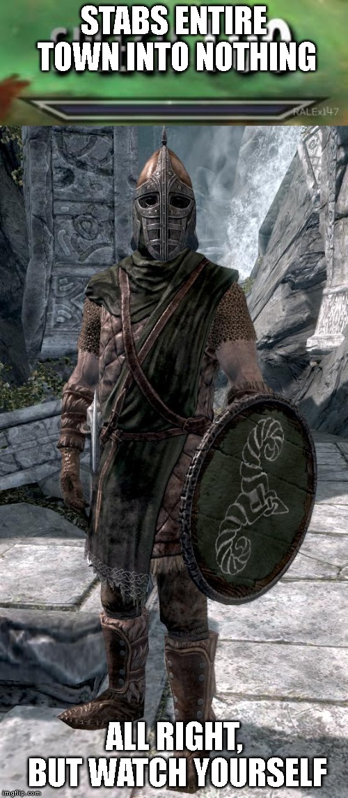 Image tagged in skyrim guard,skyrim speech 100 Imgflip