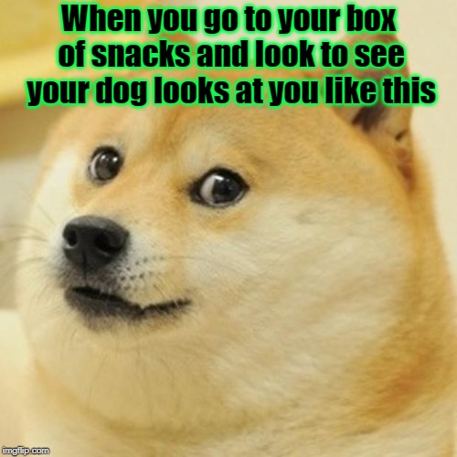 Doge Meme Imgflip
