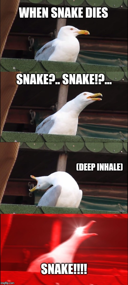 Inhaling Seagull Meme Imgflip