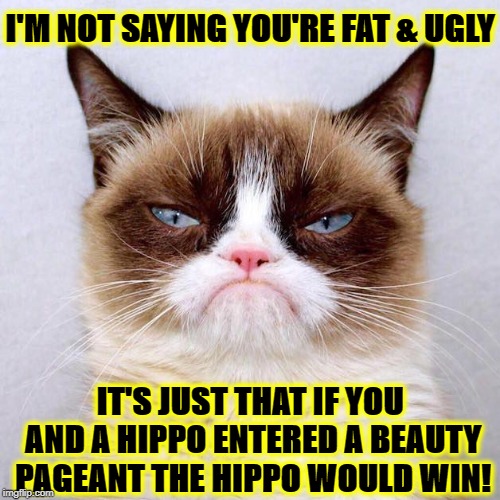 Image tagged in i'm not saying you're ugly Imgflip