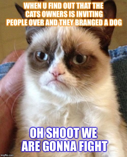 Grumpy Cat Meme Imgflip