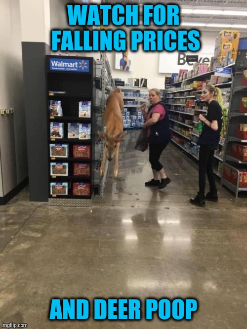Bambi's Big Walmart Adventure Imgflip