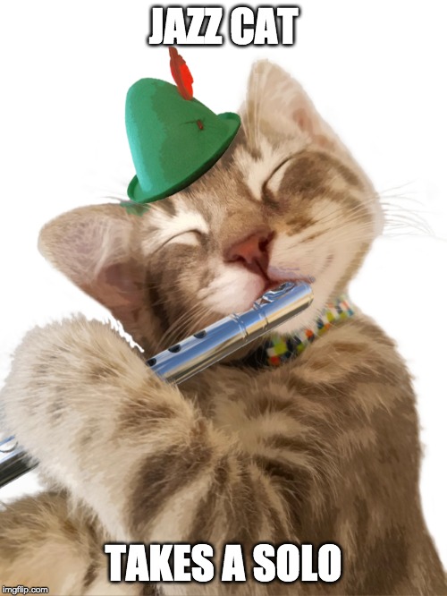 Purrfect Tune Imgflip