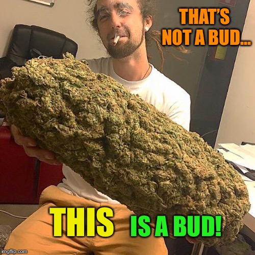 Marijuana Dundee Imgflip