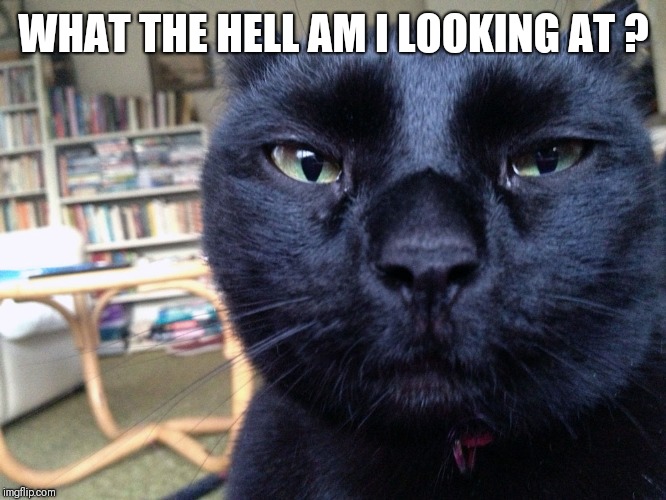MRW I see someone eating icecream! Imgflip