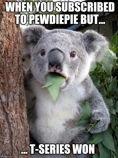 Surprised Koala Meme Imgflip