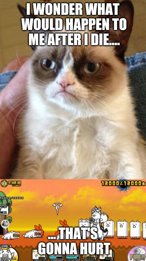 Image tagged in memes,grumpy cat Imgflip