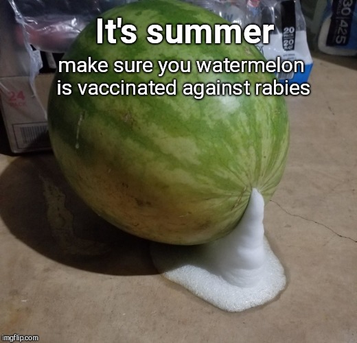 Image tagged in foaming watermelon,vegetables,humor Imgflip