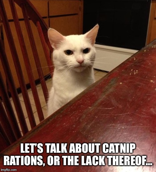 Catnip’s A Hell Of A Drug Imgflip