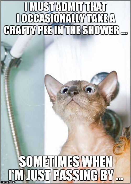 'Catty' Behavior In The Shower Imgflip