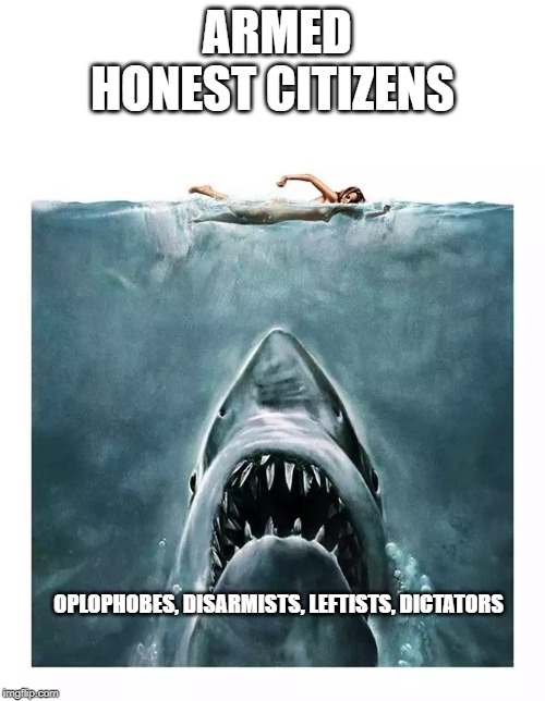 armed citizens Imgflip