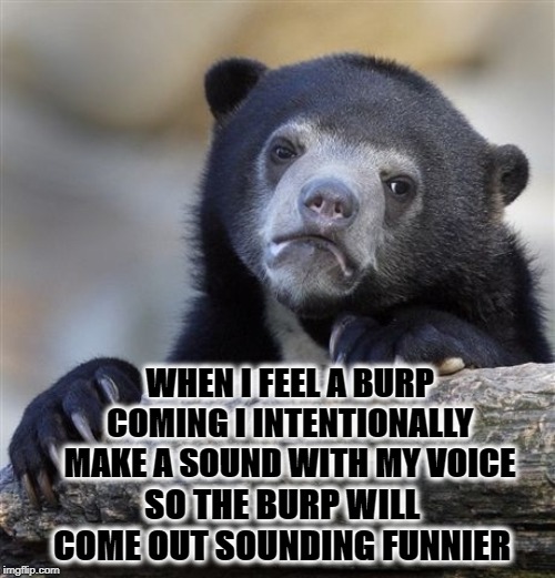 Confession Bear Meme Imgflip