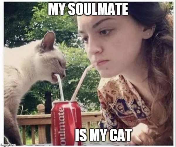 SOULMATE Imgflip