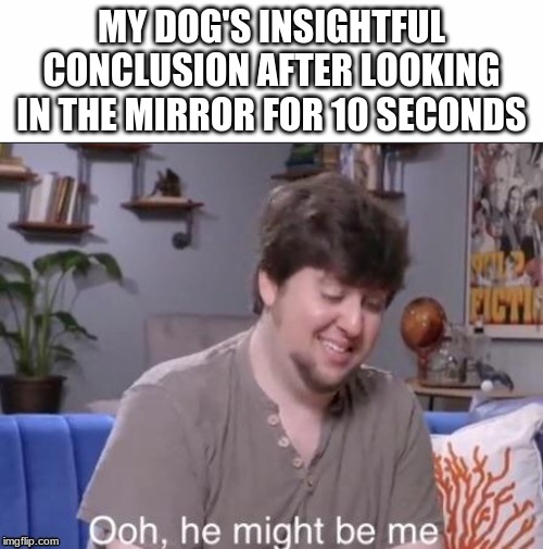 Dog Looking In The Mirror Meme apsgeyser