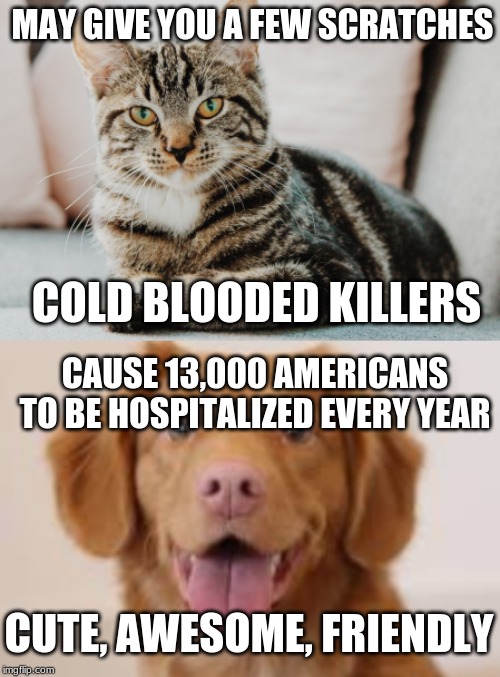 Are Dogs And Cats Cold Blooded
