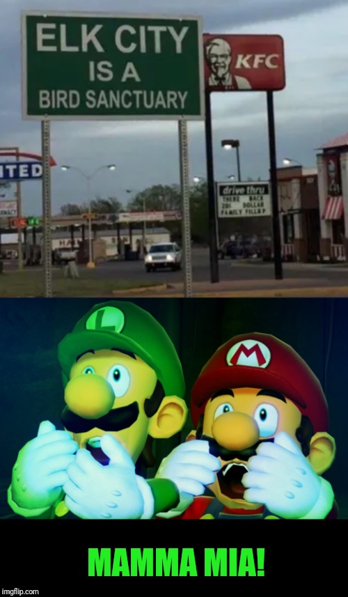 Also I feel like it should be an elk sanctuary Imgflip