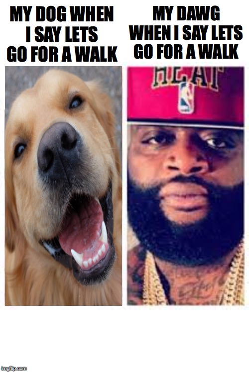 My dog rick ross Imgflip