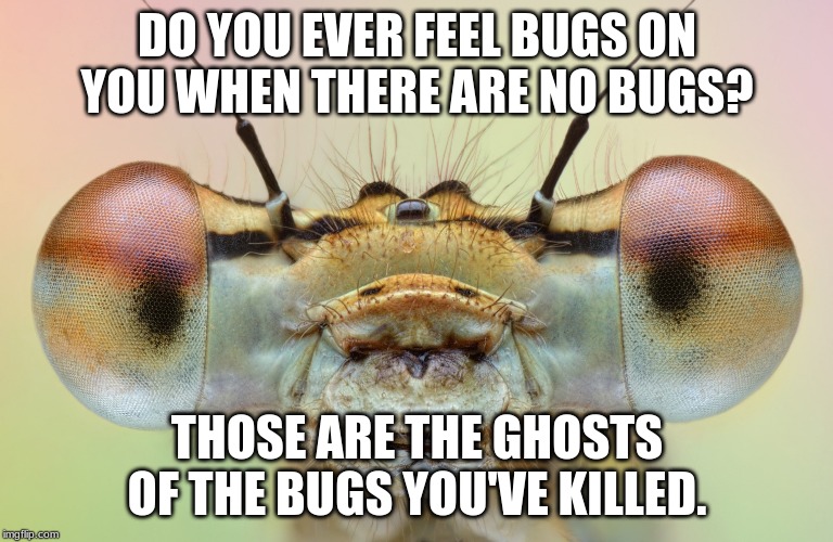 Image tagged in funny memes Imgflip