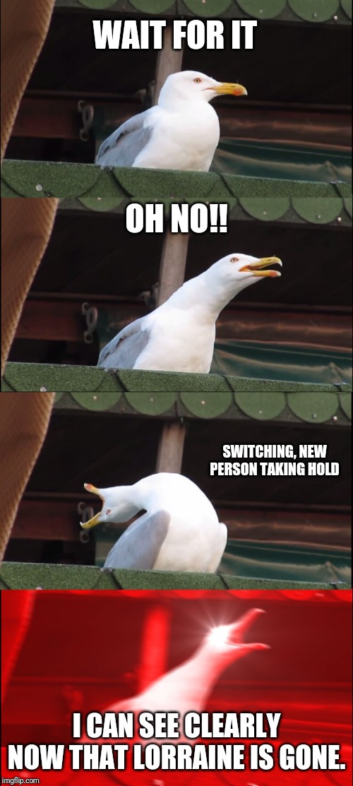 Inhaling Seagull Meme Imgflip