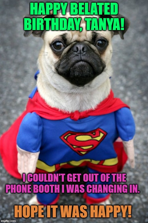 Image tagged in hay dere pretty lady super pug is here to save you with