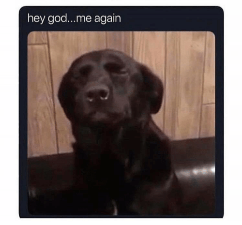 "god" Meme Templates Imgflip