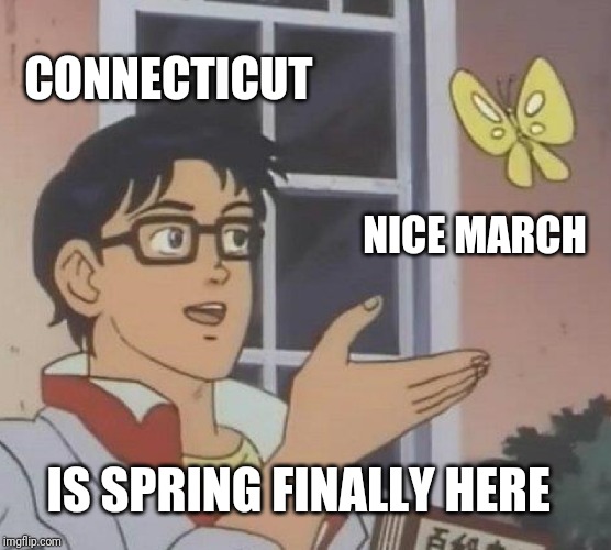 No joke March and October are the best months in Ct Imgflip