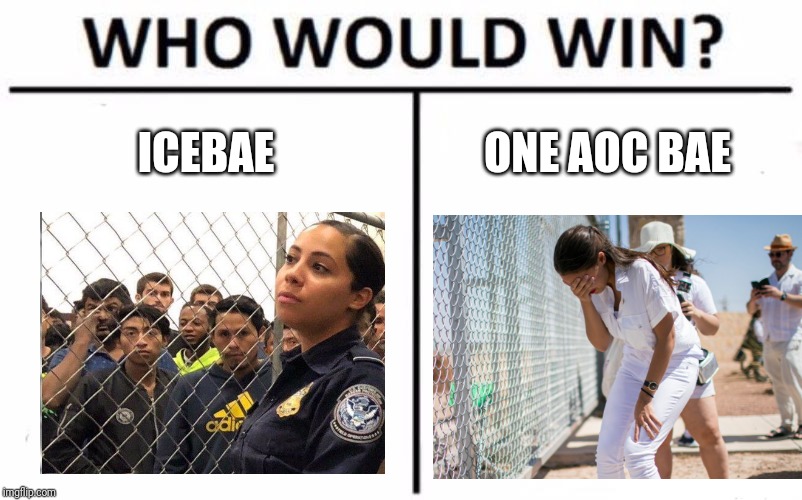 ICE, ICE, Baby! Imgflip